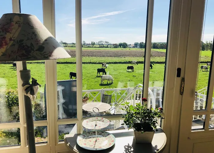 Bed & Breakfast Het Zilte Zand - Luxe Ontbijt - Gratis Parking - Westende Middelkerke